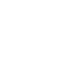 dorelan_1x1
