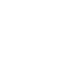 porsche_1x1